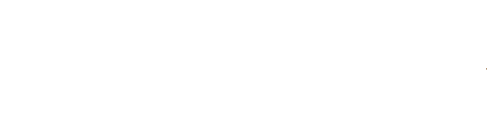 INDO303